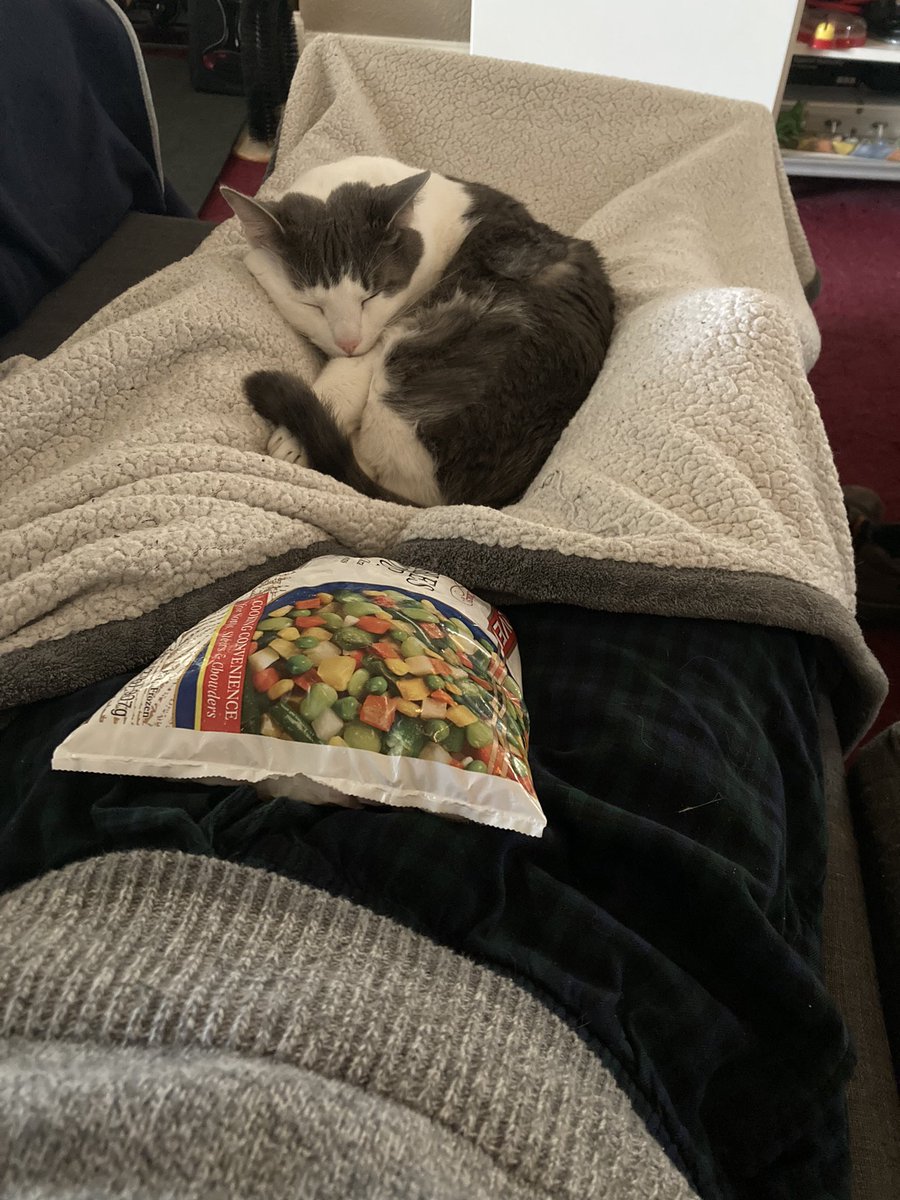 my peanous hurts

Shout out to my old disheveled urologist, who took me in, snipped and burned my nuts without me feeling a thing, and sewed me up in less than 20 minutes. And shout out to Earl Snuggs who’s always there for me.