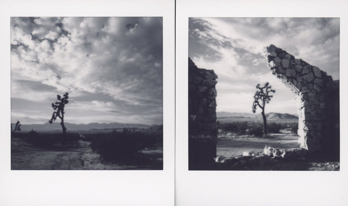 Here some black and white for Day 5 of #Polaroidweek #roidweek #instantfilm hope you enjoy! #believeinfilm