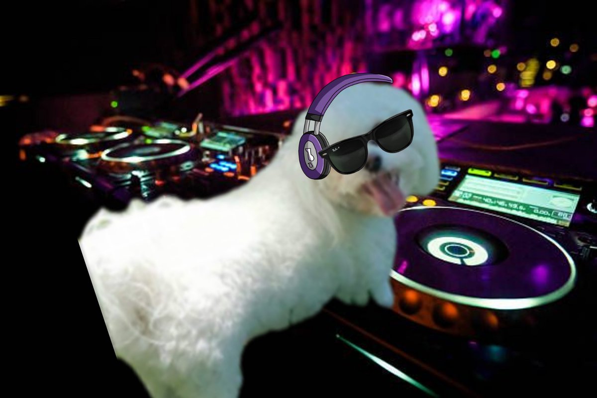 #paws4music Here's a dedication to my fellow DJs. Not just our fantastic Paws DJs, but #Nipclub, #Pawgaritaville and everyone who keeps ##anipaltwitter dancing. Dancing in the Streets by the Struts youtu.be/0mZkE6RapFY?si…
