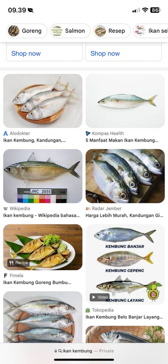 FFOODFESS's tweet photo. baru pindah kontrakan terus tetangga liat "ih kok mpasi dikasih makan ikan kembung? pake salmon atau ikan tuna tuh biar anak pinter" fess
aku yang punya ibu mertua dsa bilek : "bu apa ibu tau salmon yang ibu beli itu bener bener seger? ibu gatau kah kandungan omega 3 di  (cont..) https://t.co/qwpSYgp5kd