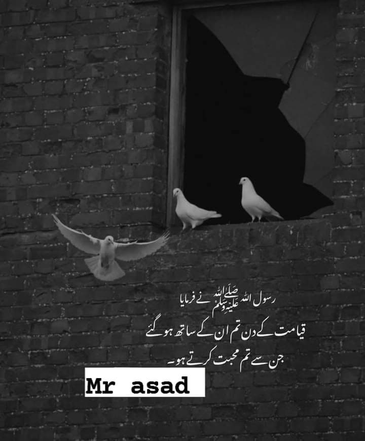 Pindi Boy tweet media