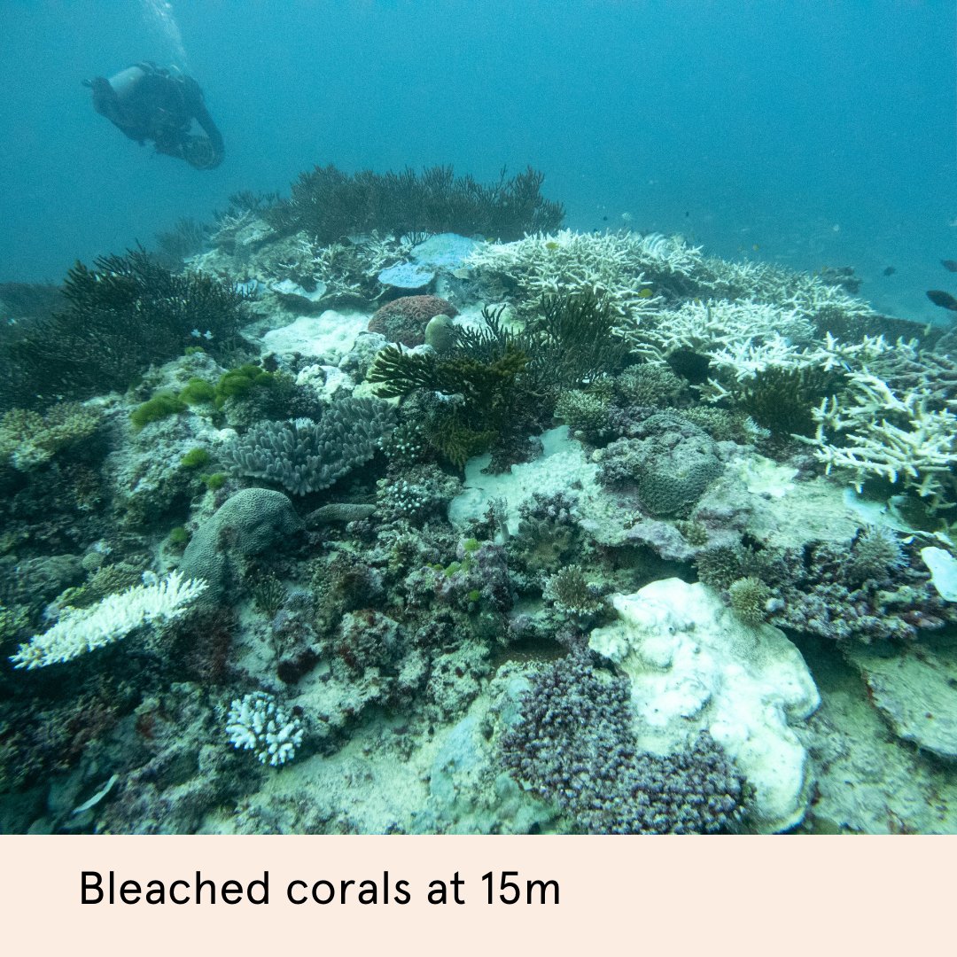 Sydney Science tweet media