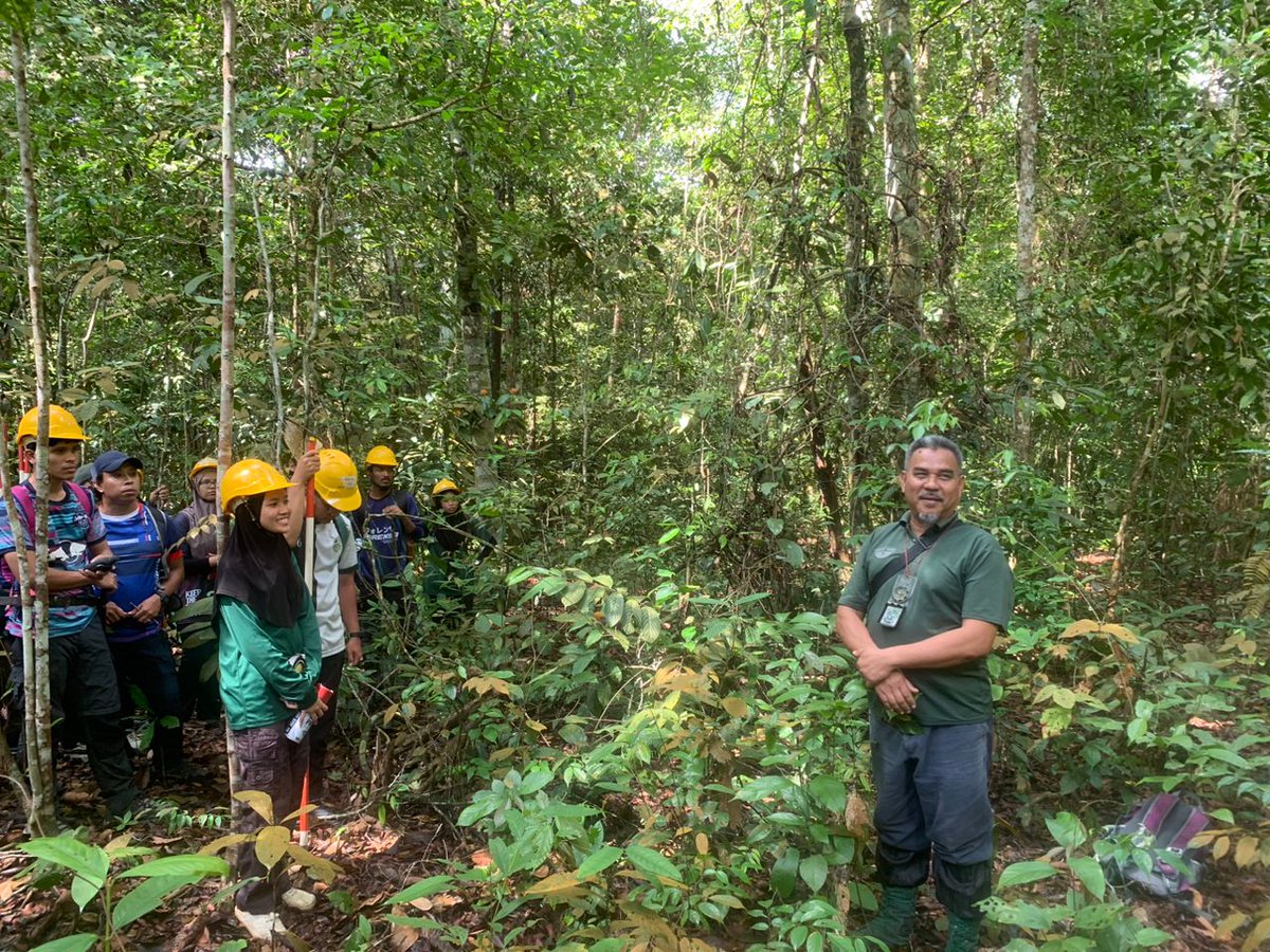 📌HS Sungai Menyala #PortDickson, #NegeriSembilan 

Latihan ini bertujuan memberi pendedahan terhadap:
✅pemantauan tumbesaran pokok
✅penggunaan & pengendalian peralatan pengukuran
✅pengukuran di lapangan
✅penganalisaan & menginterpretasi data tumbesaran pokok