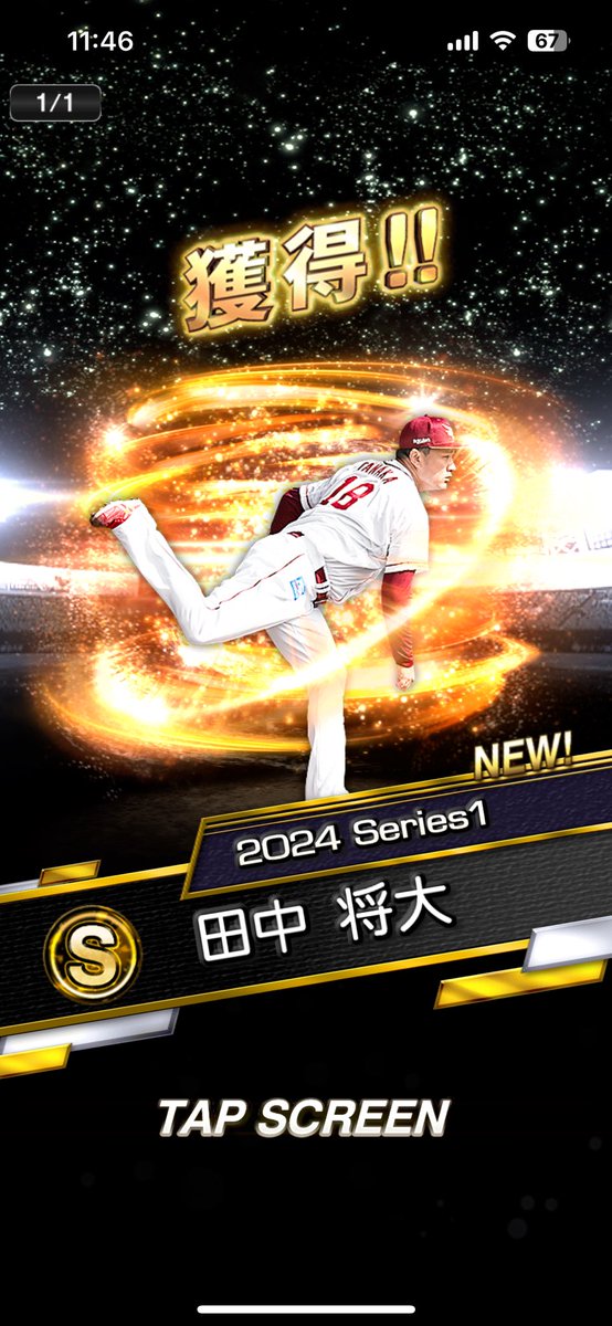 野良猫 tweet media