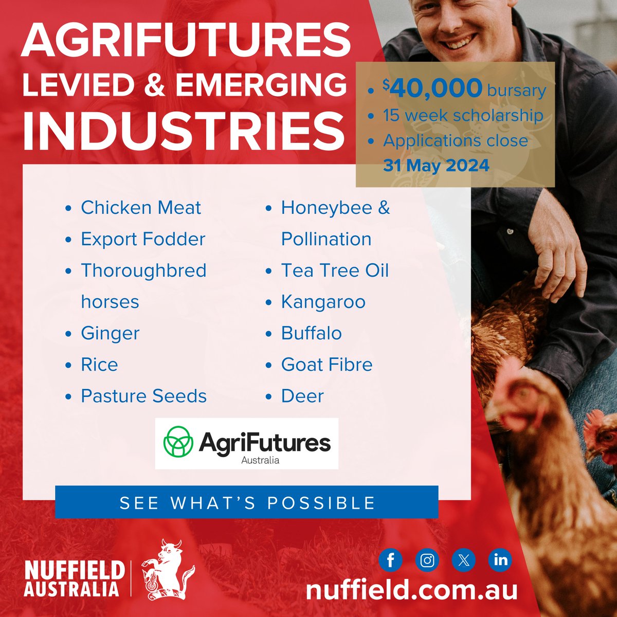 ARE YOU involved in a #agrifutures levied or emerging industry in Australia? If so you apply for a 2025 Nuffield Scholarship generously supported by @agrifutures nuffield.com.au #applynow #nuffield #chickenmeat #exportfodder #thoroughbred #ginger #rice #pastureseeds