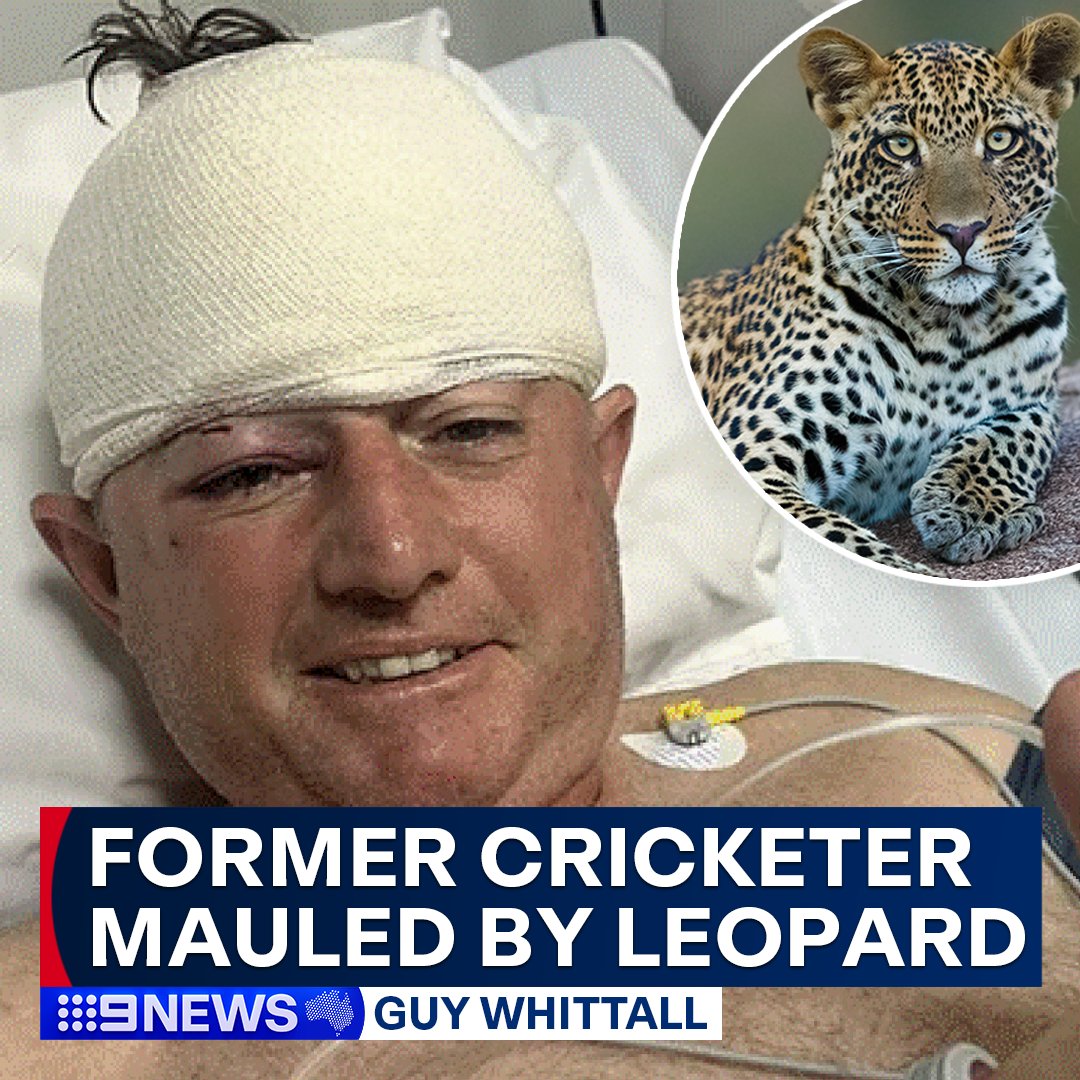 A hunting expedition almost turned fatal for ex-Zimbabwe cricketer, Guy Whittall, when he was mauled by a leopard, in another unusual twist of fate for the former all-rounder. #9News STORY: nine.social/FFz