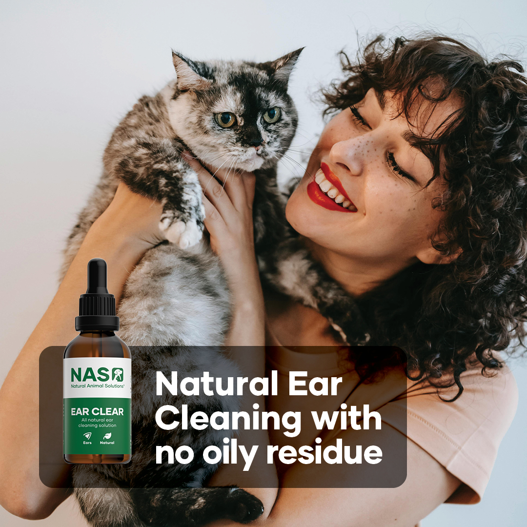 Ear Cleaner with no oily residue. Best Selling and Natural Ear Cleaning solution for Cats and Dogs. Oil free solutions leaving ear and fur clean and fresh. #EarCleaner #NaturalPetCare #PetWellness #HealthyPets #PetGrooming #PetHealth #CleanEars #DogCare #CatCare #PetProducts