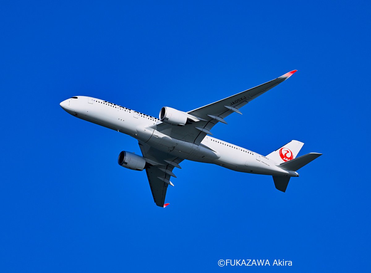 JAL_Official_jp tweet picture