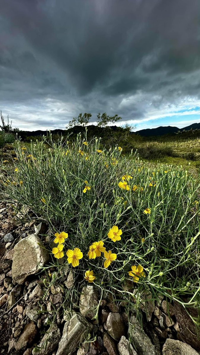 Tucson sky! #getoutdoors #getoutside #arizona🌵