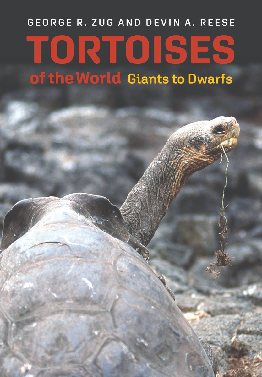 All tortoises are turtles, but not all turtles are tortoises, herpetologist George R. Zug and NASW member Devin A. Reese report in Tortoises of the World: Giants to Dwarfs, an illustrated guide to the 47 known tortoise species: nasw.org/member_article… @ScienceWriters #SciWriBooks