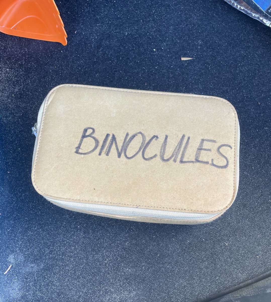 Disappointed to report this case contained binoculars and not bionicles