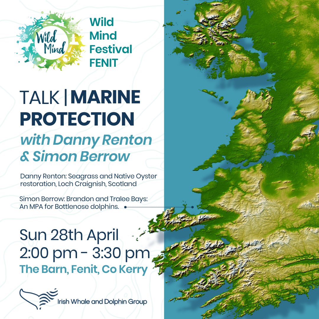 WILD MIND FESTIVAL FENIT, CO KERRY 2024 is this weekend with more than 50 events and exhibitors! Join us at 2pm for some marine protection discussions and talks at The Barn on Sunday, 28th. wildmind.ie #MPA #events #IWDGtalks