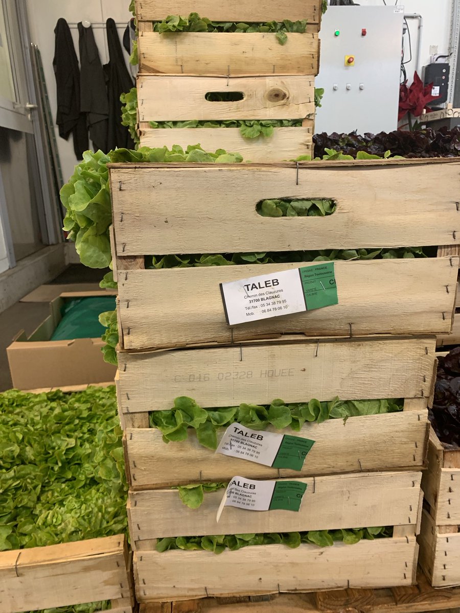 Merci aux grossistes du marché intérêt national de #Toulouse pour leur sourcing local.Ici la salade produite à Blagnac #local ⁦@MagueloneP31⁩ ⁦@Toulouse⁩ ⁦@jlmoudenc⁩