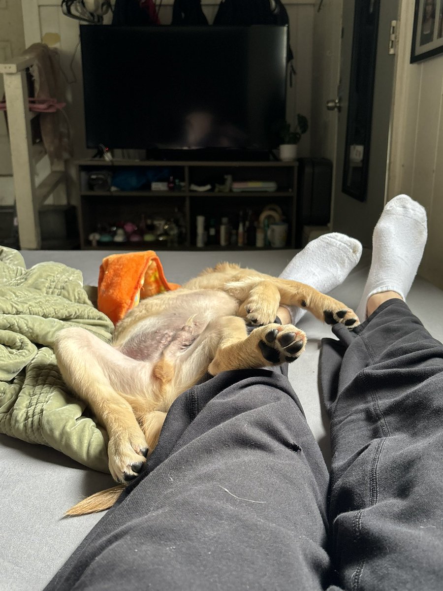 Cr4s7's tweet photo. The love of my life right here. https://t.co/lr5tAuWN5v