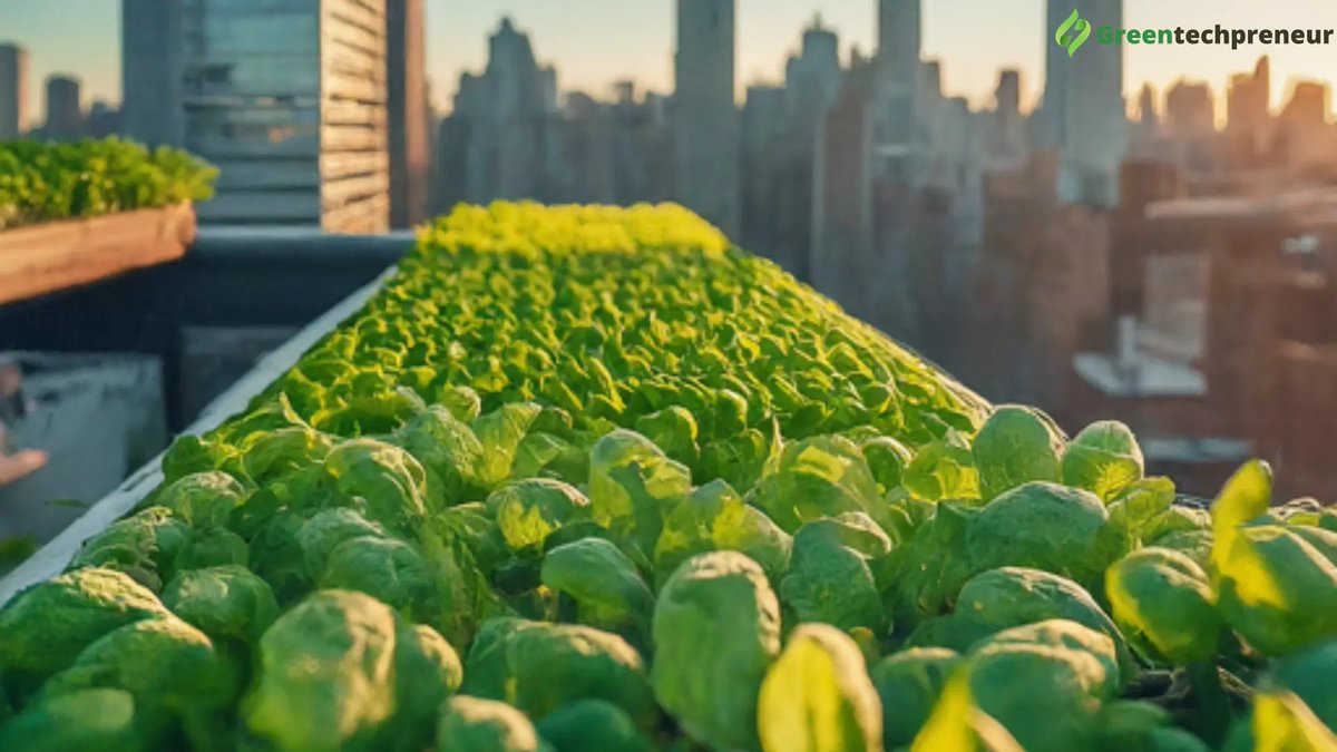 Vertical farming: revolutionizing food production  Reduce food miles, conserve water, and combat climate change.  Let's build a greener future together!  
Visit: greentechpreneur.com/vertical-farmi…
#VerticalFarming #SustainableFood!