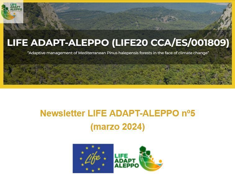 😃 Nueva Newsletter del Proyecto #LIFE #Adaptaleppo disponible para consulta. 📜🍃 👉 us14.campaign-archive.com/?u=bbbaf513e99… 💌 Para sucribirse: adaptaleppo.eu/multimedia/#ne… @UPV @IEntornoNatural @agrestascoop @MurciaForestal @EtsiamAb @ETSEAFIV_UdL