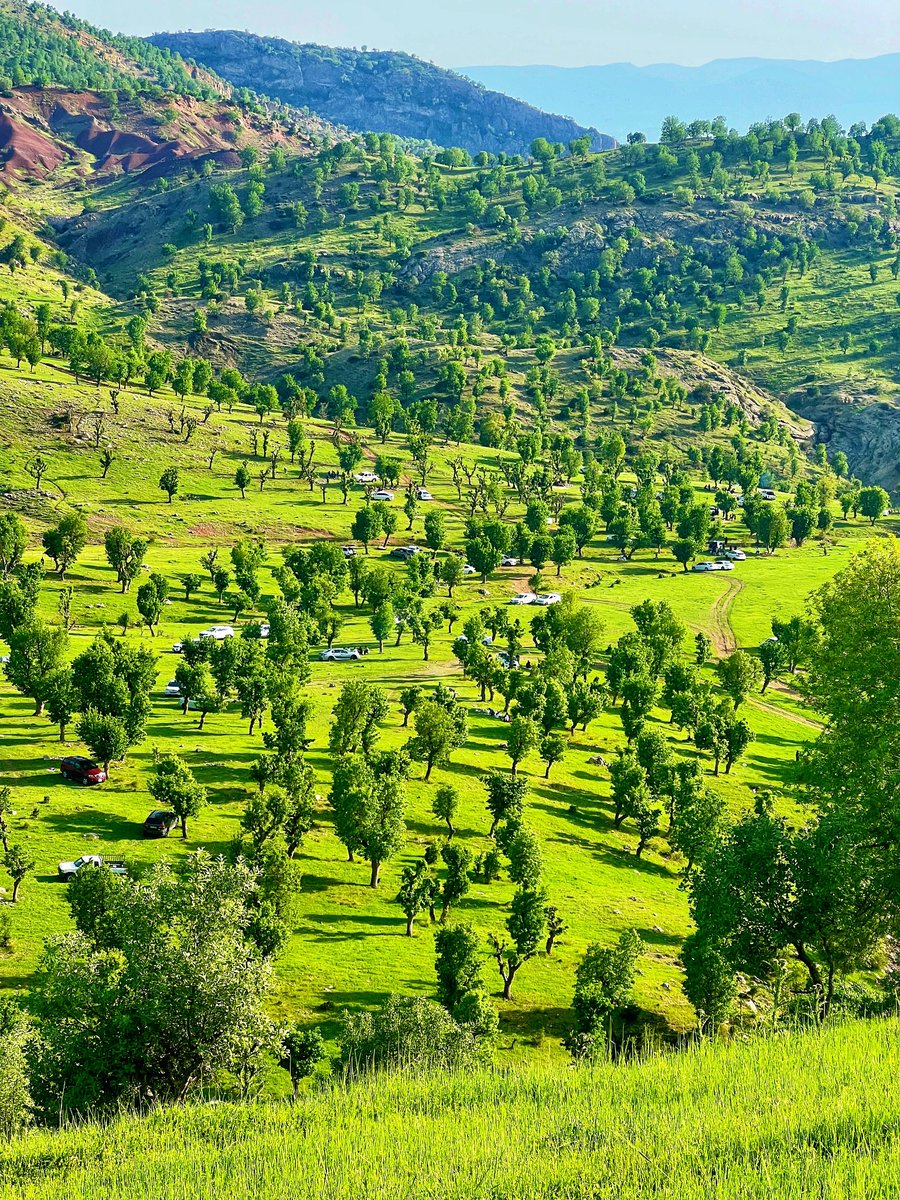 کوردستانی جوان؛ سروشتی بەهارییانەی گوندی بانکێ لە دەڤەری زاخۆ.