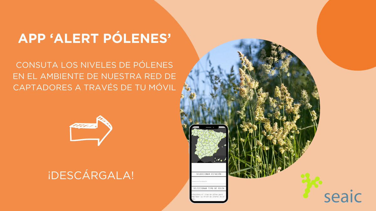 📱 ¡La app 'Alerta Pólenes' ya está disponible! Consultar los niveles ambientales de #pólenes de nuestra red de captadores, ahora es más fácil. ¿A qué esperas para descargarla? 👇🏼 🤖 pmsl.es/oo 🍏 pmsl.es/op #alergia #rinitis #asma