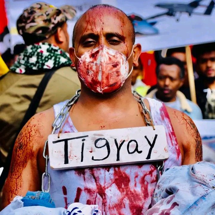 rozaoppo1's tweet photo. #Tigray does not want war, We need concrete action on the #PretoriaAgreement &amp; justice for Tigray. So dear @eu_echo @UhuruKE @UN @UNGeneva @eu_eeas @hrw @SecBlinken
#UpholdPretoriaAgreement  #FreeAllTigray
@BradSherman @RepSires @GerryConnolly  (photo @ChefMuller222) @rozaoppo1 https://t.co/j9OlTQc78t