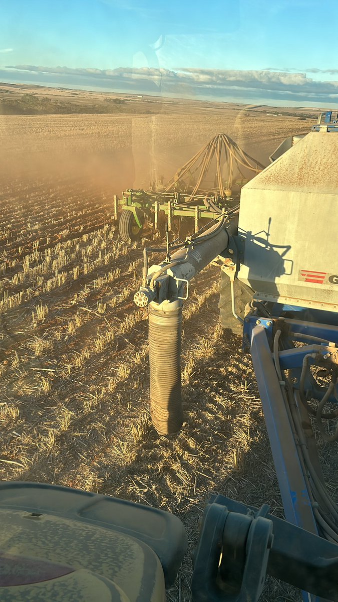 Apparently it not happening until it’s on X #dryasachip