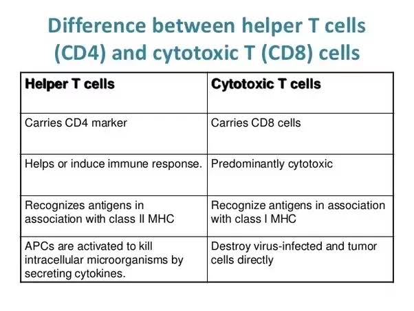 Hey Scholars of Immunotherapy, Immunology & Microbiology;

- Am I wrong when I say HIV is Genius: How come it attacks CD4 and not CD8 ?? 

- Who told HIV to attack CD4 and not CD8 when they infiltrate the Human Body??

Is it coincidental or Natural Selection?

Am in Awe 😲😳😮