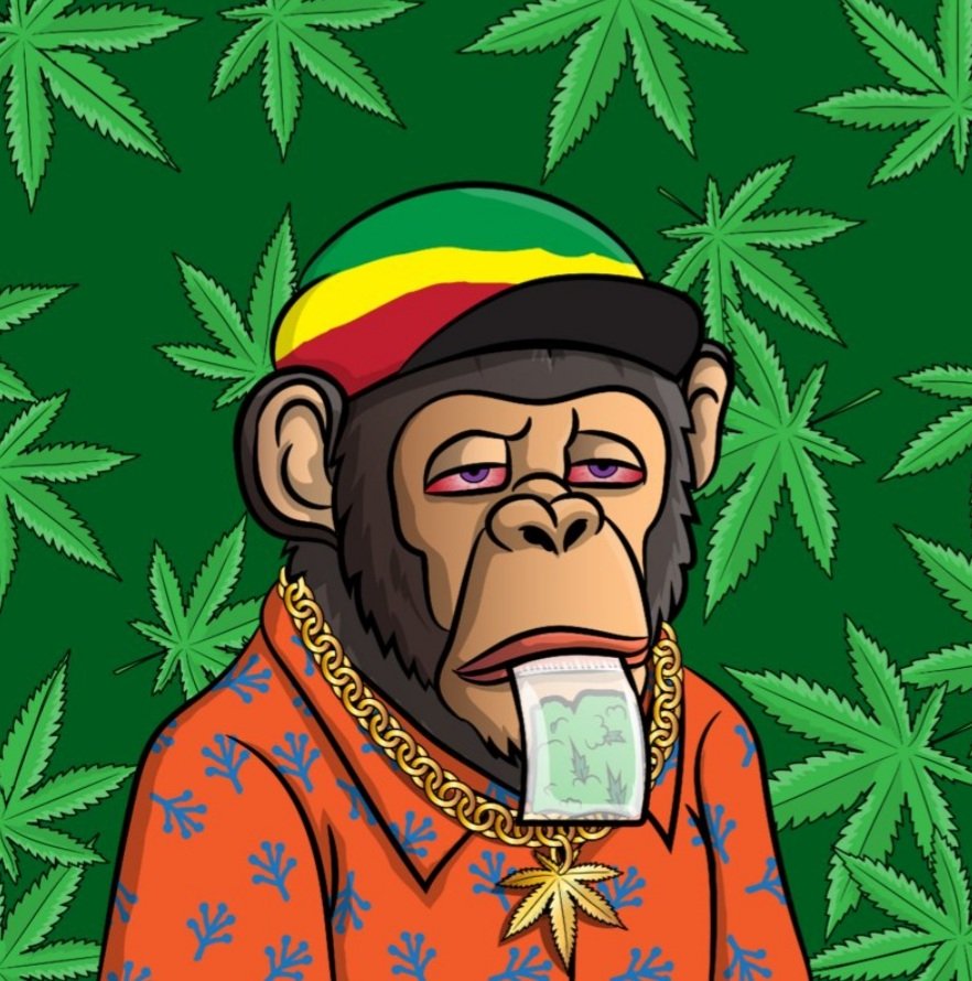 🌄GOOD MORNING CHIMPS 🌄 

The weekend has landed who has the Friday feeling 🐵

#XRPCommunity #NFT #XRPL