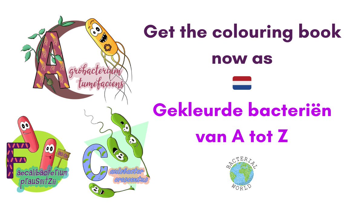 🦠 The #BacterialWorld is learning new languages!

Thanks to the amazing work by Wiep @SmitsLab, we now have a Dutch version of our colouring book 🇳🇱

Get it on Amazon or print the sheets yourself to start colouring bacteria from A to Z now!

sarahs-world.blog/coloured-bacte…
