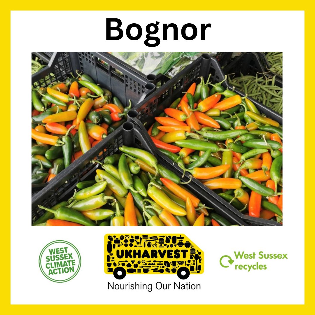 The #CommunityFoodHub will be at #Bognor Youth and Community Centre from 10am-11am tomorrow (Wednesday 1 May). Find out more online 👉 westsussex.gov.uk/UKHarvest
#WastePrevention #WestSussexRecycles #FightAgainstFoodWaste