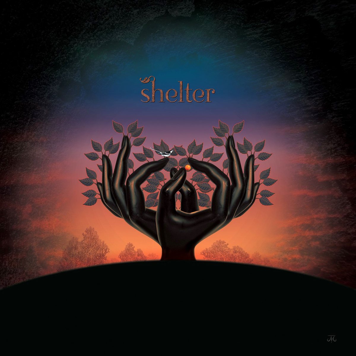 Chronique de : 'Shelter' Par Laughing Stock
progcritique.com/laughing-stock…
#laughingstock #newalbum #review #progcritique #prog #progrock #progressiverock #rockprogressif #rock #rockmusic