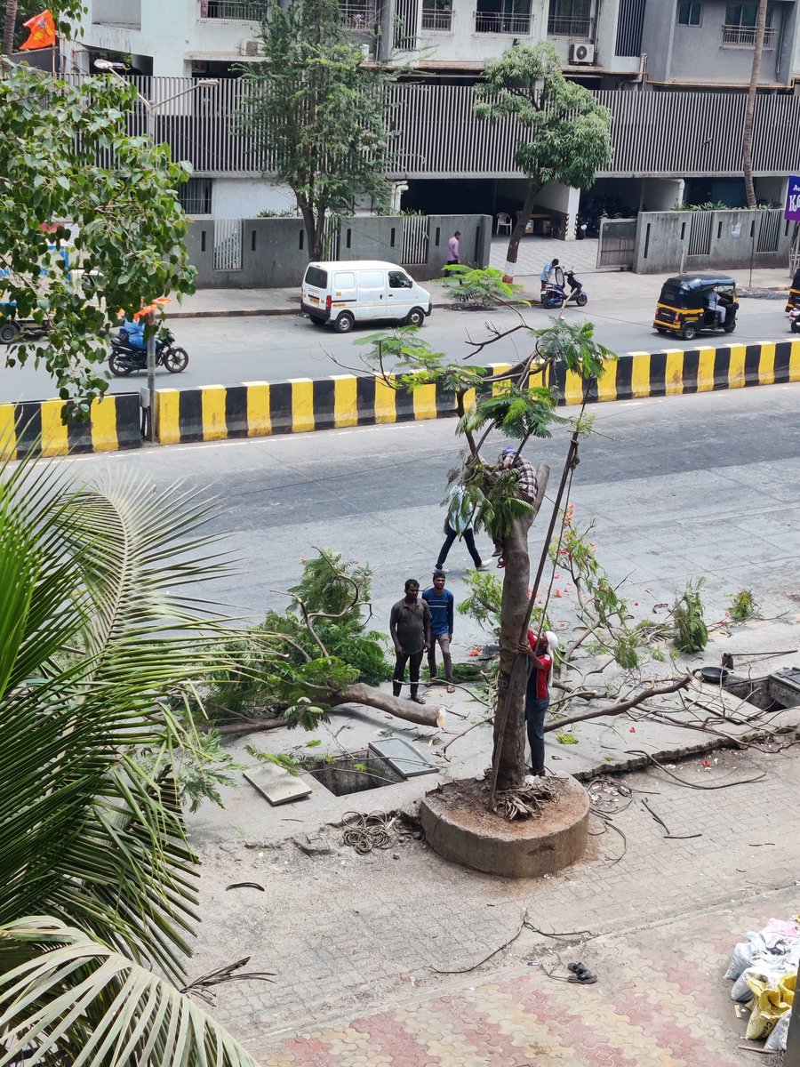 AmitPat73023561's tweet photo. सरकार यहां ग्लोबल वार्मिंग की बात करता है या दूसरी तरफ हरे भरे पेड़ काटता है। @randomsena https://t.co/N2cwtelhzy