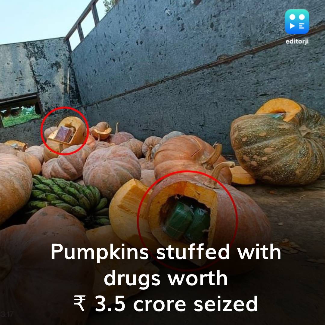 Drugs found hidden inside pumpkins on a truck in Manipur. ➡️39th Assam Rifles, Manipur Police jointly seize brown sugar. ➡️30 soap cases of brown sugar worth Rs 3.5 crore were recovered. ➡️Drug-laden pumpkins were recovered from a truck. #AssamRifles #Manipur