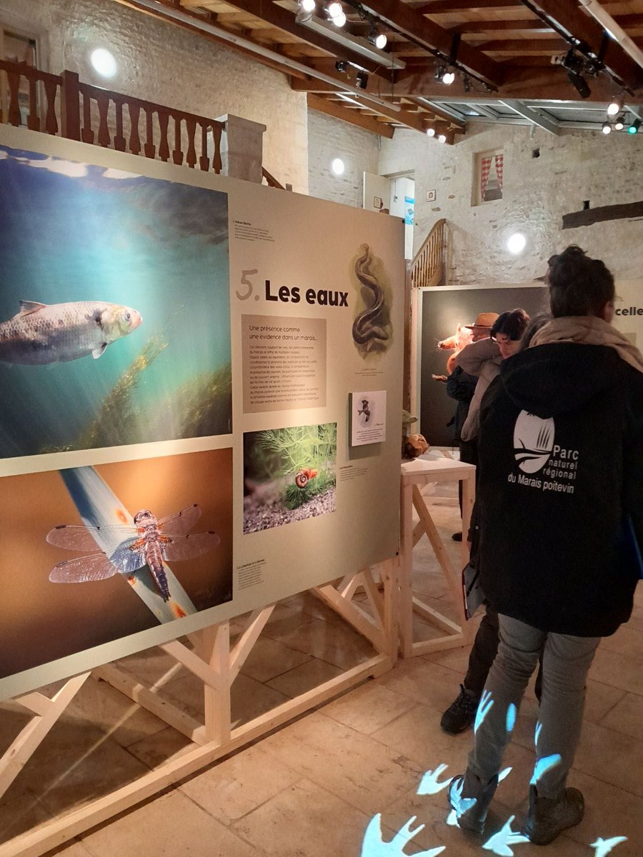 40 ans que le @pmaraispoitevin organise des formations pour des bateliers saisonniers ! 2 groupes ont suivi le programme «Connaitre le Marais poitevin» conçu & animé par le Parc: lecture de paysages, appréhension de la richesse et fragilité du territoire, visite exposition...