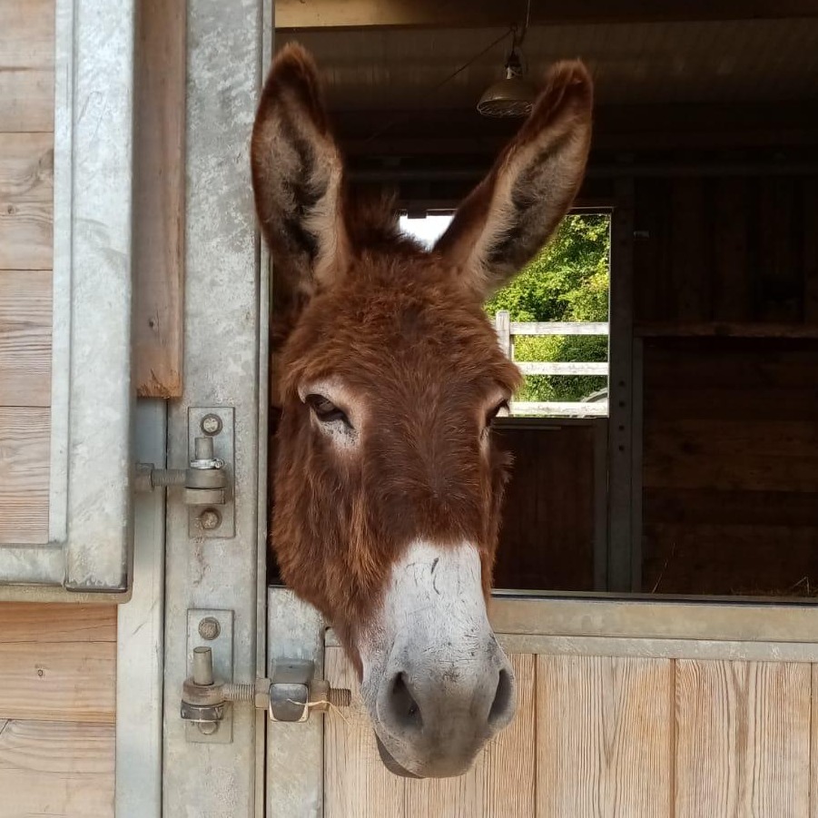 Happy Friday from Bronson! 🥰