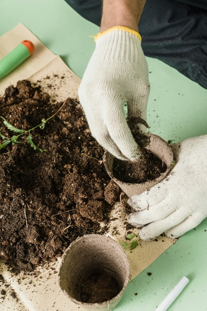 Helping you to grow, you can learn more about growing food in small spaces, growing food in schools and accessibility in growing at:

birmingham.gov.uk/info/50279/foo…

#BirminghamFoodRevolution #GoodtoGrow2024