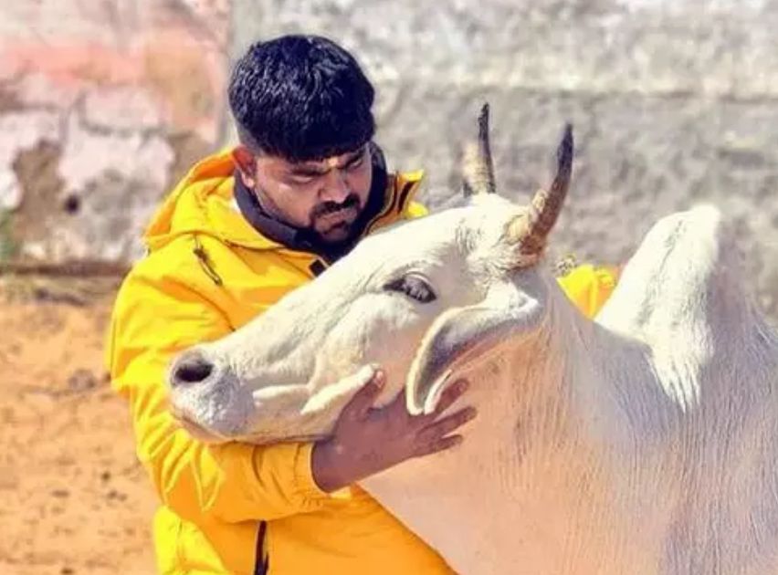 हमारा गौ रक्षक भाई “मोनू मानेसर” जेल से कब रिहा होगा।