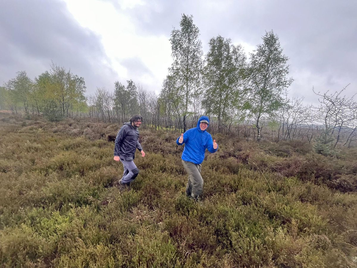 Ruben Evens tweet media