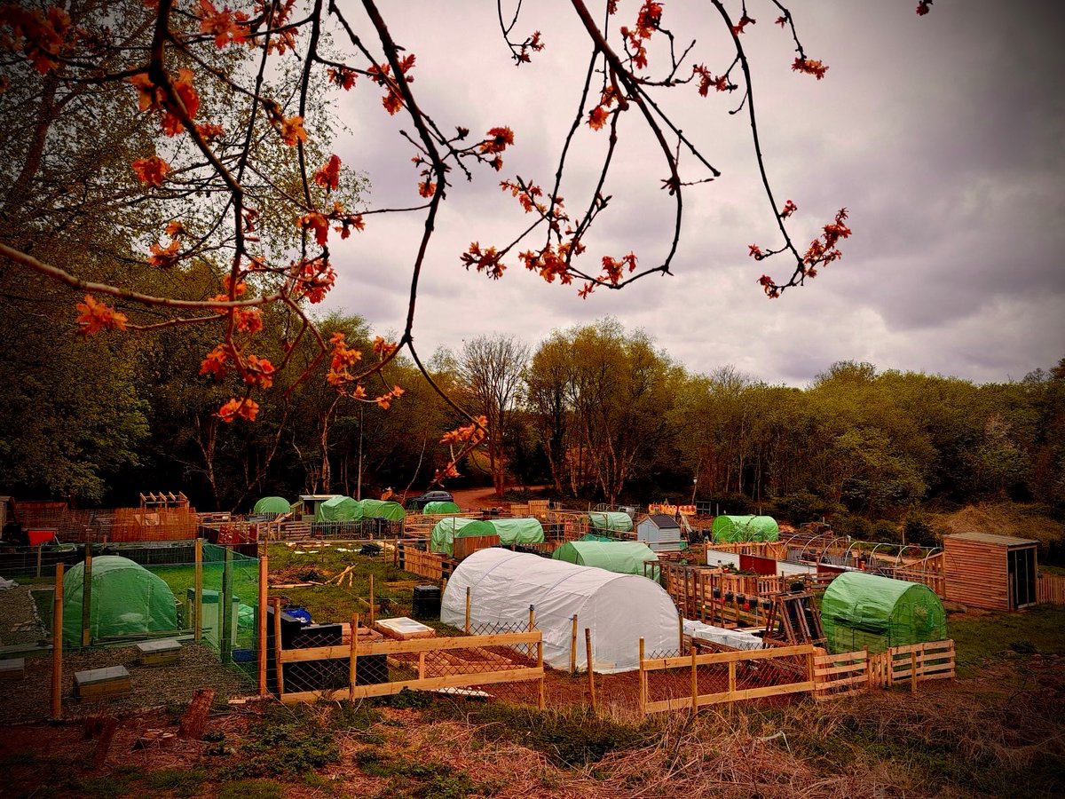 🌱 Join us for a season of gardening and community vibes @ Wharfside Allotment Gardens

✅ PLOTS AVAILABLE ✅ 

Apply today at wharfside.org and let's grow together! 🌞#Lichfield #Cannock #Hammerwich #Walsall #Burntwood #CommunityGarden