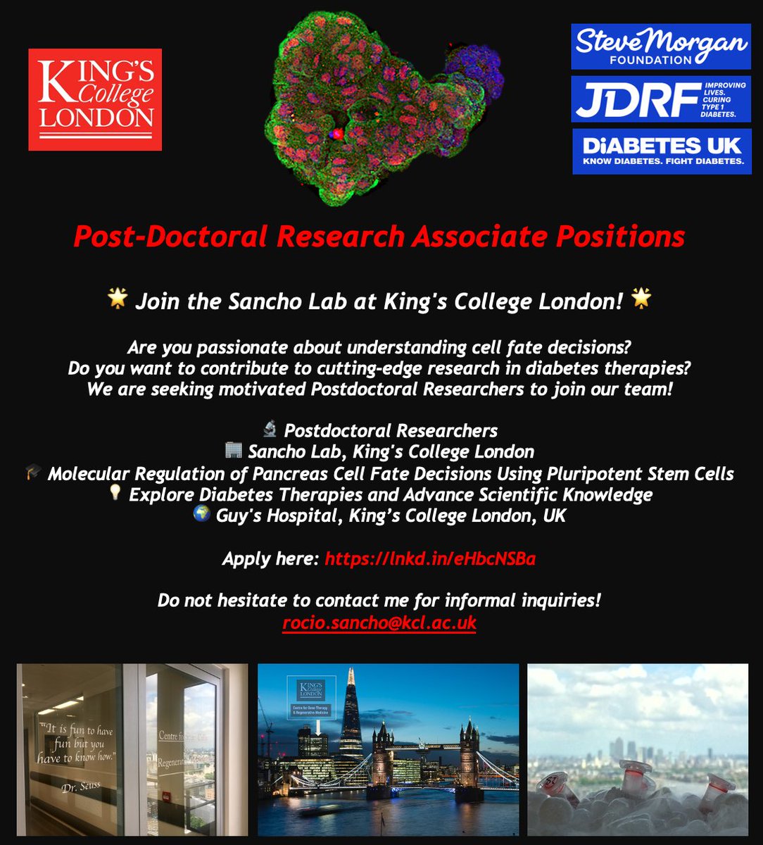 Yay!!!! Finally out!!! Postdoc positions to join my lab 😊🎉 Please spread the word 📢 @PostdocJobs @PostdocJobsBio @LSCN_UK @KCL_MRCDTP @TheCrick @ICR_London @KCLstemcells @KCLBMBioscience @wellcometrust @JDRFUK @DiabetesUK