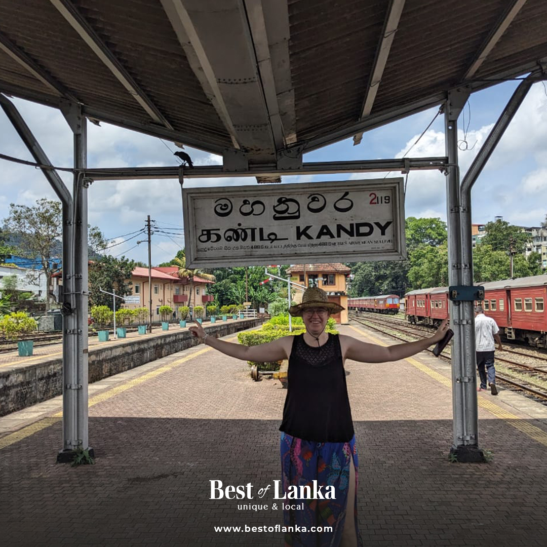 BestofLanka1 tweet picture