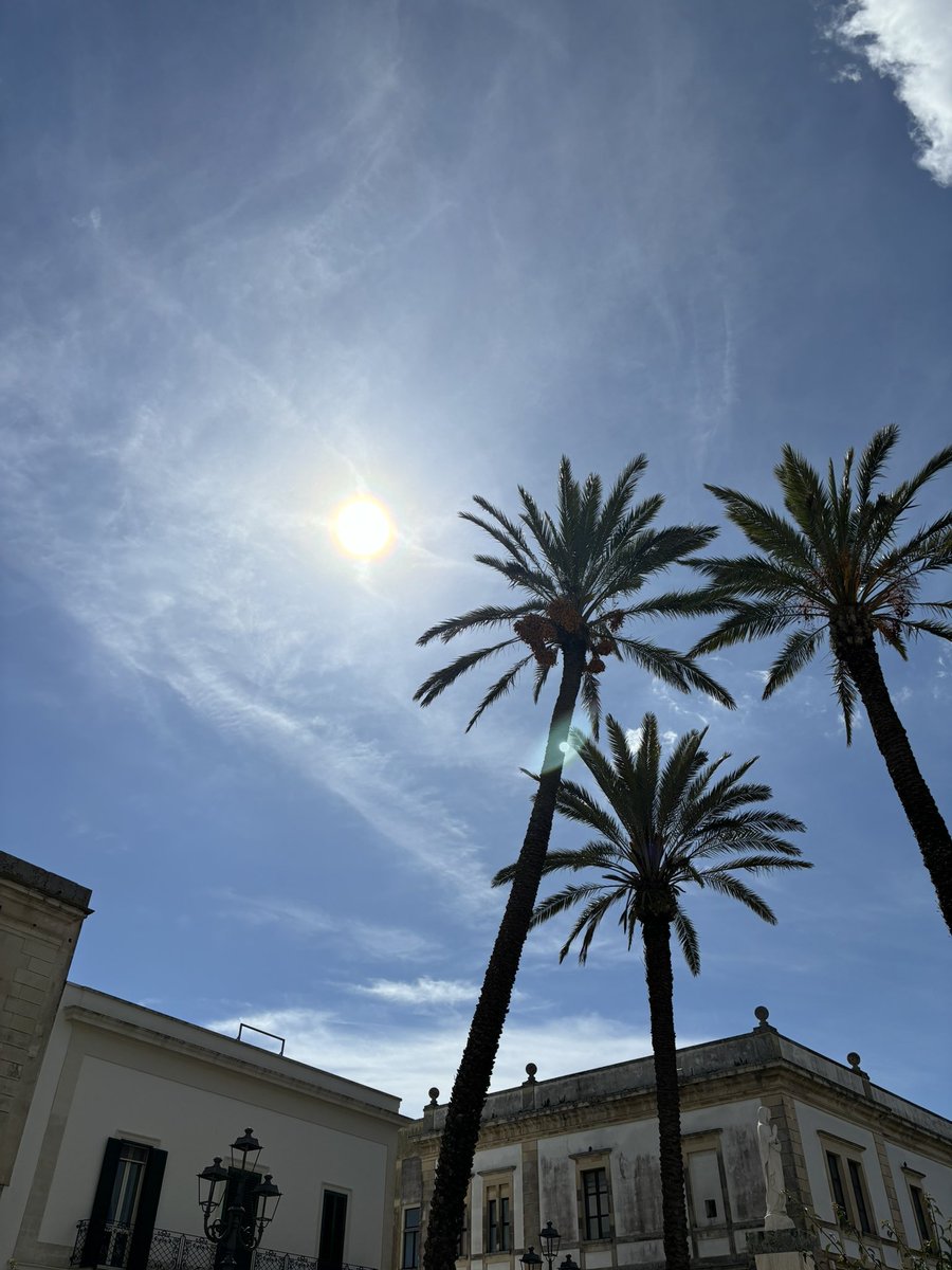 Scaldarsi al sole di Puglia 😎 #26aprile