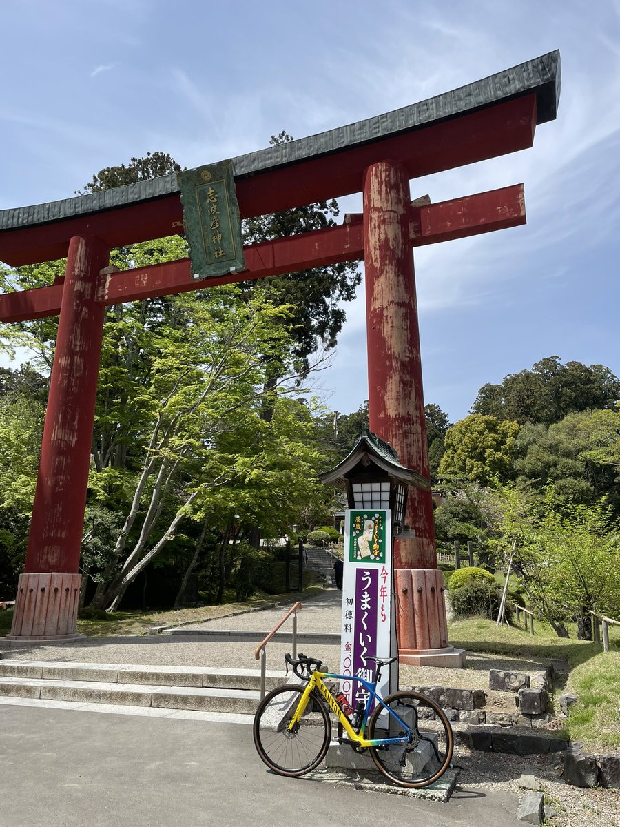 宮城県初サイクリング🚴仙台空港✈️近くの公園にクルマを止めて塩釜神社まで往復80キロ。仙台港までサイクリングロードを繋いだので走りやすかった。海沿いの道だけど海はほとんど見えなかった。
#サイクリング #ロードバイク #グラベルロード