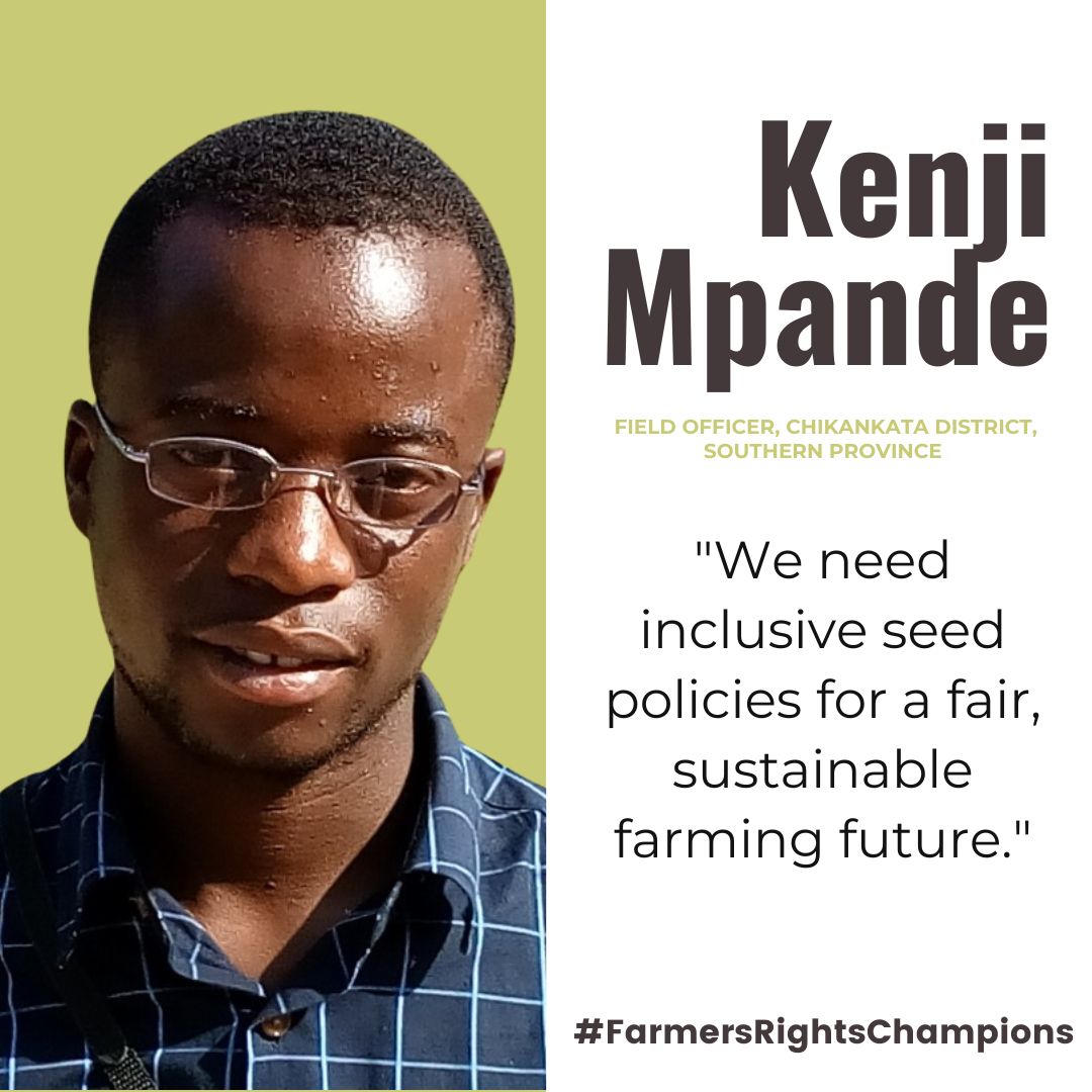 Kenji Mpande, a promoter of local seed varieties, advocates for sustainable farming practices in Chikankata. #FarmersRightsChampions #SeedIsLife zambianagroecology.org/empowering-zam…