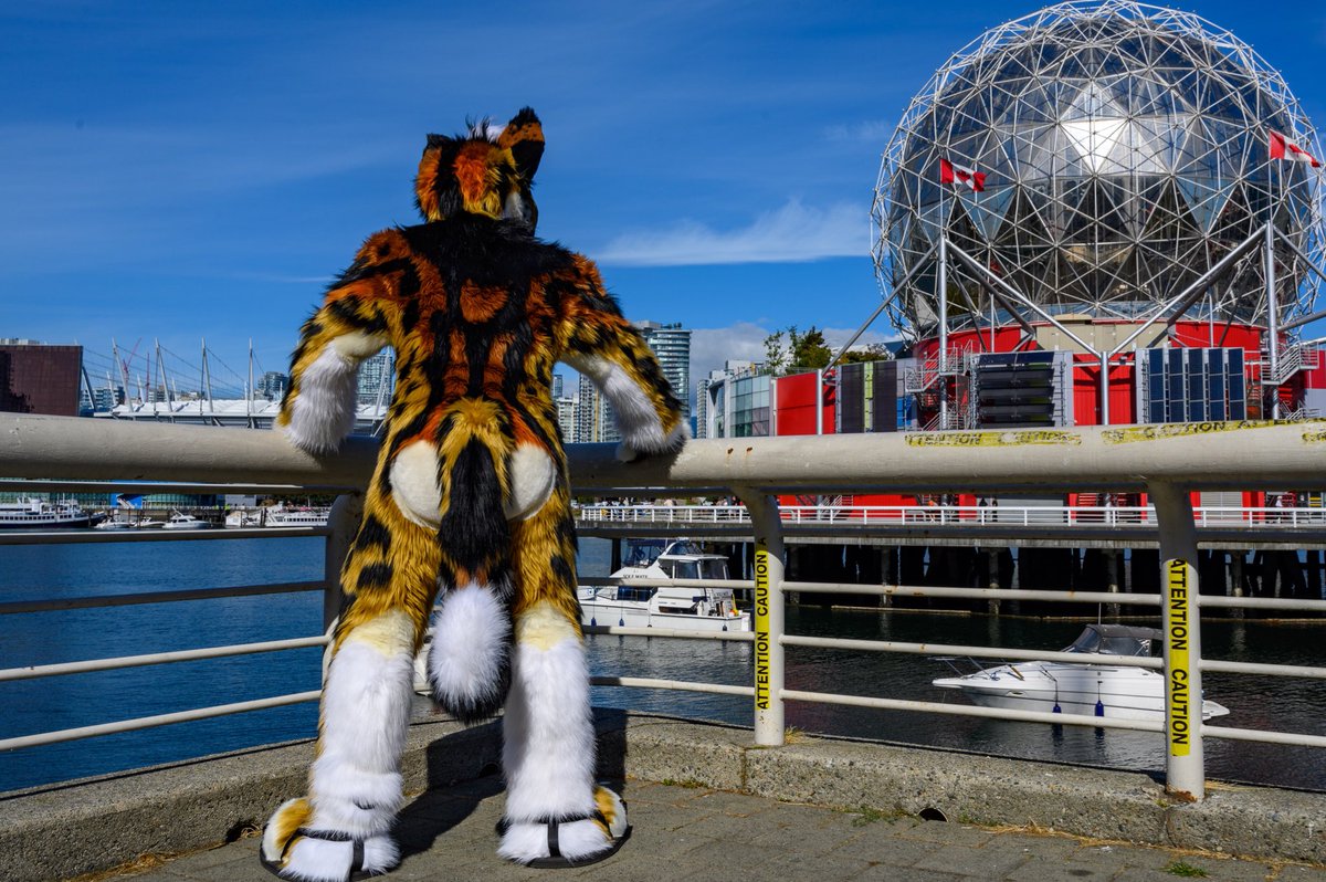 Argus Pouncely🐾 ➡️ OW, FurEh? (@arguspounce) on Twitter photo 