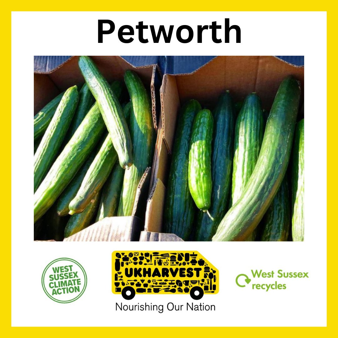 The #CommunityFoodHub will be at #Petworth's Sylvia Beaufoy Centre from 10am-11am on Thursday 2 May. Find out more online 👉 westsussex.gov.uk/UKHarvest @ChichesterDC #WastePrevention #WestSussexRecycles #FightAgainstFoodWaste #WestSussexClimateAction #LoveWestSussex