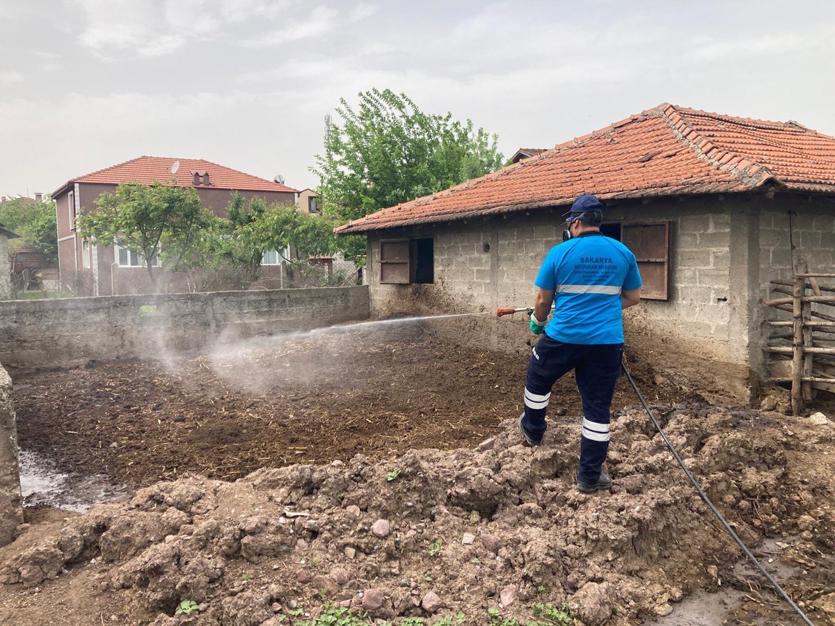 Yaz aylarının gelmesiyle birlikte artan haşere, sinek ve zararlı vektörlere karşı ilaçlama çalışmalarımız sürüyor. Planlı ve etkin çalışma, çevreci anlayış ile 16 ilçemizde vektörlerle mücadele devam edecek. sakarya.bel.tr/tr/Haber/buyuk…