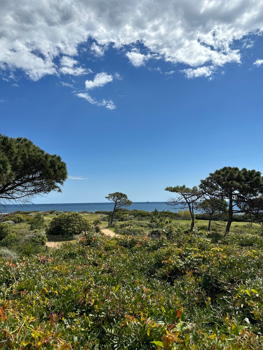 #Pause sur la Pointe des #Sardinaux à #SainteMaxime Et pour vous, quel est l'endroit idéal dans le #Golfe pour un #piquenique ?