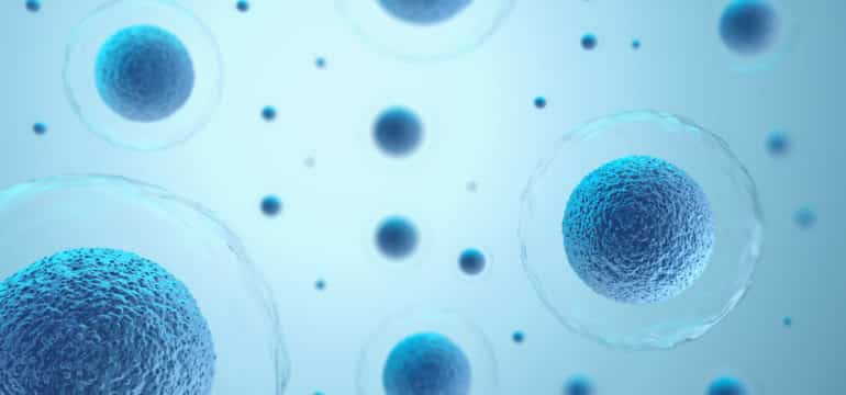 Robert Branche tweet media