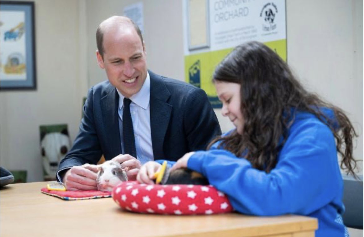 Just casually stroking Guinea pigs with the Prince of Wales!