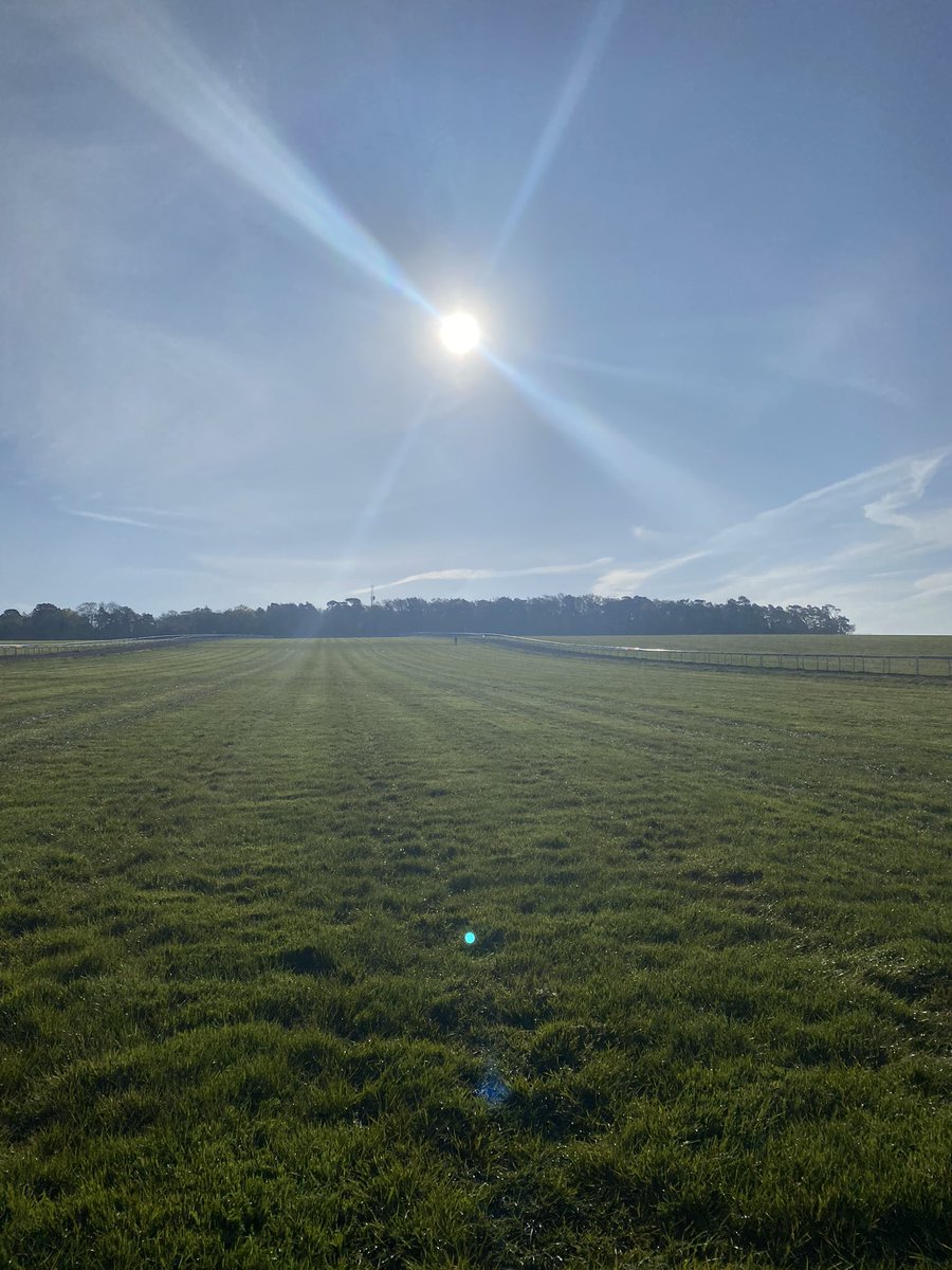 careersinracing's tweet image. Warren Hill Gallops This Morning 🐎

#Newmarket #Gallops
