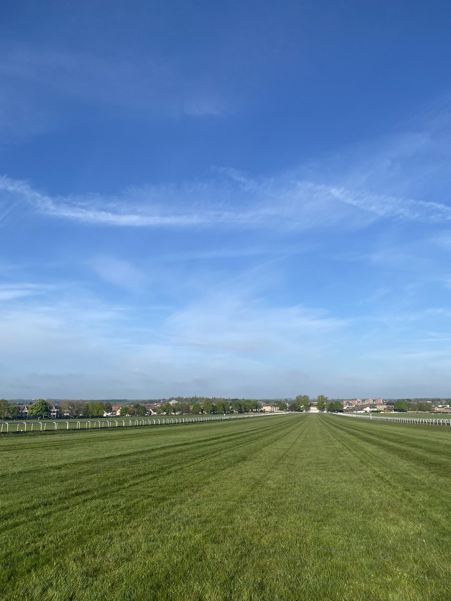 careersinracing's tweet image. Warren Hill Gallops This Morning 🐎

#Newmarket #Gallops